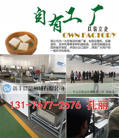 河南商丘豆腐皮機采購指南 廠家直銷、商用價格與購買渠道