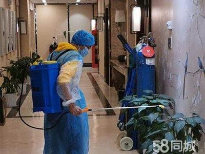 專業(yè)保潔服務(wù) 從美縫除醛到衣櫥整理，全方位守護(hù)家居健康